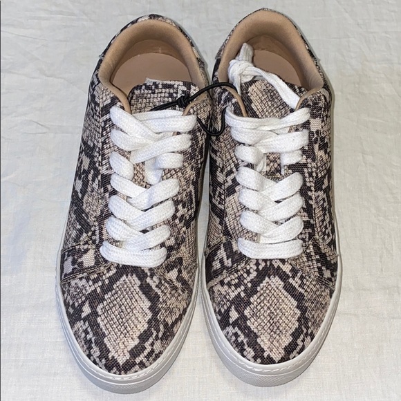 Steve Madden Shoes - STEVE MADDEN Vonn Snakeskin Print Canvas Sneaker